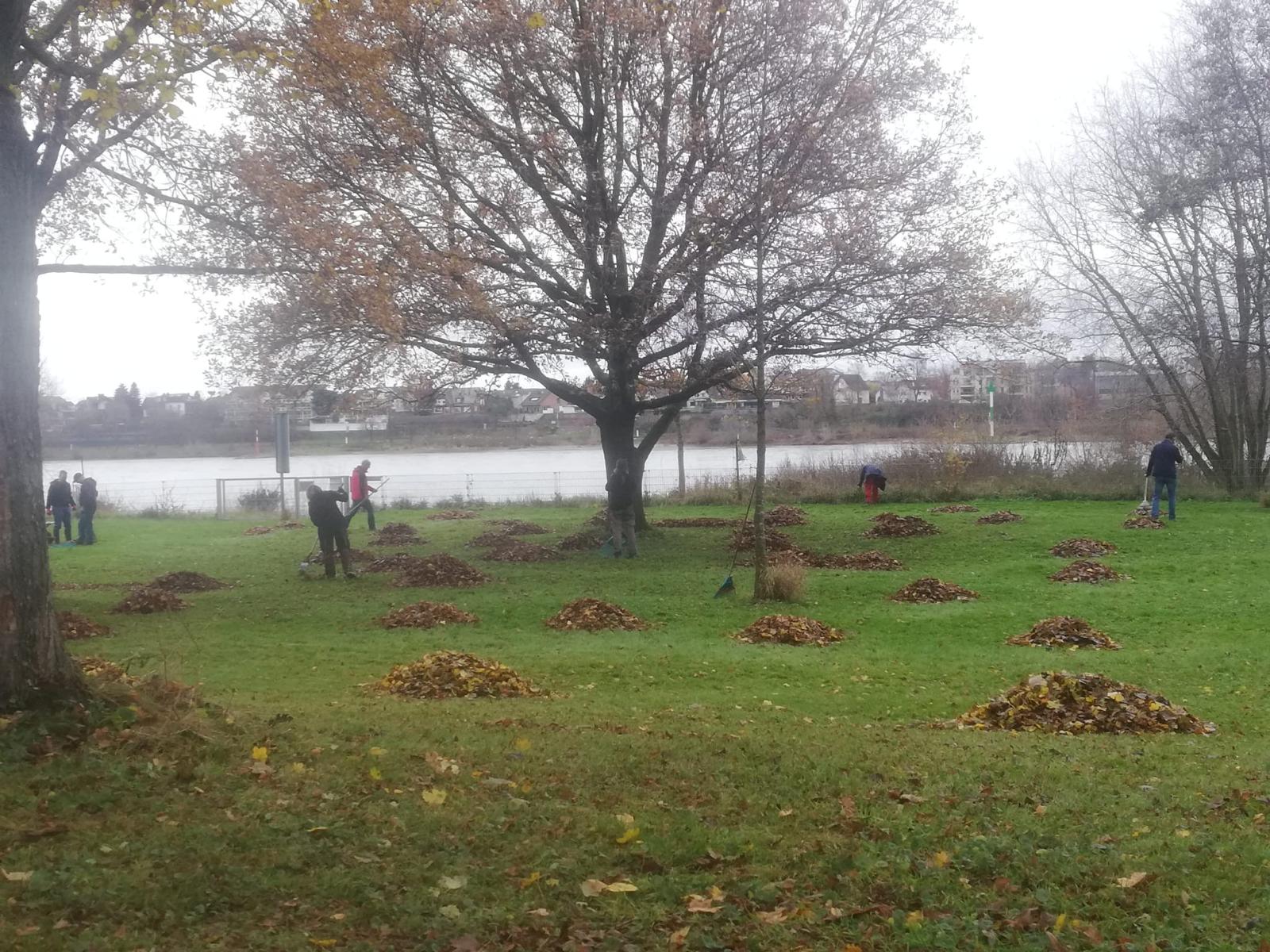 WhatsApp Image 2025-12-13 at 20.49.49